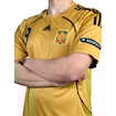 Picture of Spain 2008 Away Torres