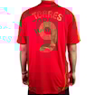 Picture of Spain 2008 Home Torres