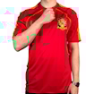 Picture of Spain 2008 Home Torres