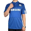 Picture of Chelsea 09/10 Home
