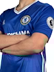Picture of Chelsea 16/17 Home Diego Costa