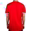 Picture of Manchester United 88/90 Home