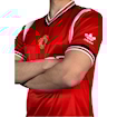 Picture of Manchester United 84/86 Home