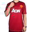 Picture of Manchester United 12/13 Home V. Persie