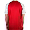Picture of Arsenal 88/90 Home