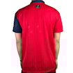 Picture of Spain 1996 Home