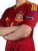 Picture of Spain 2012 Home Iniesta