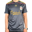 Picture of Liverpool 09/10 Away Torres