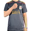 Picture of Liverpool 09/10 Away Torres