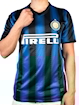 Picture of Inter Milan 10/11 home
