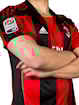 Picture of Ac Milan 10/11 Home Ibrahimovic