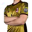 Picture of Ac Milan 13/14 Third Kaka