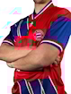 Picture of Bayern Munich 91/93 Home
