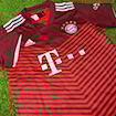 Picture of Bayern Munich 21/22 Home