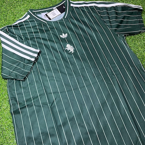 Picture of Juventus 25/26 Terrace Icons jersey Green
