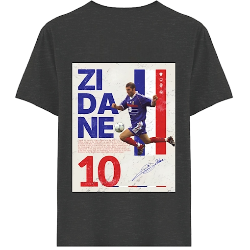 Picture of Zidane France Edition