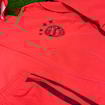 Picture of Bayern Munich 2025 Windbreaker Jacket Red