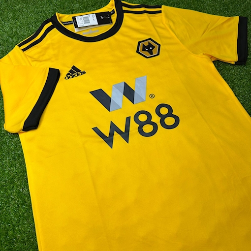 Picture of Wolve 18/19 Home