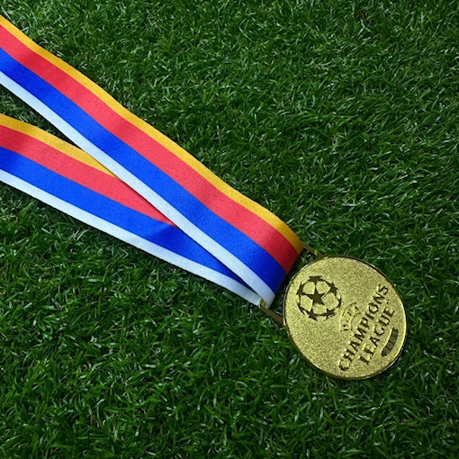 Picture of Champions League 2001 Medal