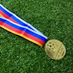 Picture of Champions League Final 2004 Medal