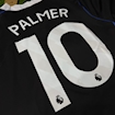 Picture of Chelsea 25/26 Third Palmer