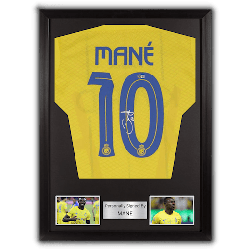 Picture of Mane signed & framed