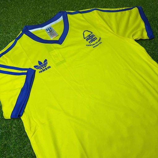 Picture of Nottingham Forest 77/80 Away